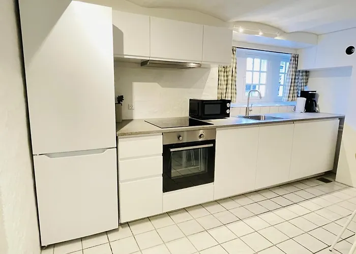 Aday - Mansion - Charming 3 Bedroom Lejlighed Aalborg